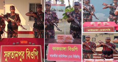 সাতক্ষীরায় সিলডেনাফিল ট্যাবলেটসহ ১১ লক্ষ টাকার ভারতীয় ঔষধ জব্দ