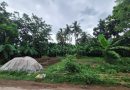 সাতক্ষীরার কলারোয়ায় শরিকদের বাড়ি-ঘর ভাঙচুর, জমি দখল ও ঘর নির্মাণের অভিযোগ