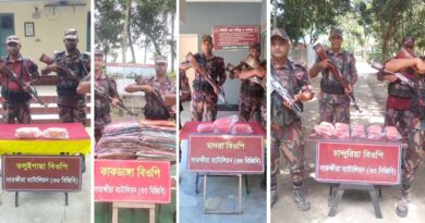 সাতক্ষীরায় বিজিবির অভিযানে প্রায় ১০লক্ষ টাকার মালামাল জব্দ