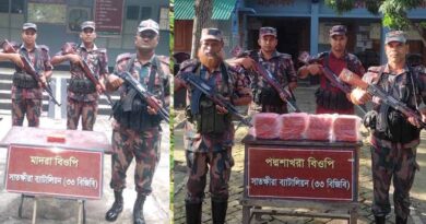 সাতক্ষীরার সীমান্তে বিজিবির হাতে ১০ লক্ষাধিক টাকার মালামাল জব্দ