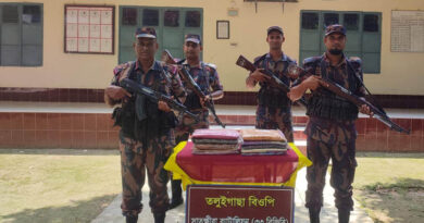 সাতক্ষীরার সীমান্তে বিজিবির অভিযানে বিপুল পরিমান ভারতীয় মালামাল জব্দ