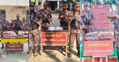 সীমান্তে বিজিবির অভিযানে প্রায় ৭ লাখ টাকার ভারতীয় মালামাল জব্দ