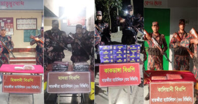 সাতক্ষীরায় বিজিবির অভিযানে প্রায় তিন লক্ষ টাকার চোরাচালানী মালামাল জব্দ
