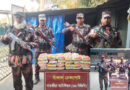 সাতক্ষীরার সীমান্তে থেকে প্রায় চার লক্ষ টাকার চোরাচালানী মালামাল জব্দ