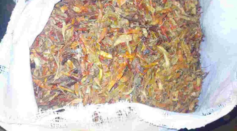 পাটকেলঘাটায় ভ্রাম্যমাণ আদালতে ৩ ব্যবসায়ীকে জরিমানা