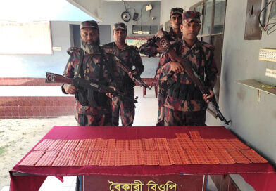 সাতক্ষীরায় ৩৩ বিজিবির অভিযানে প্রায় দুই লক্ষ টাকার ভারতীয় মালামাল জব্দ
