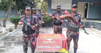 সাতক্ষীরায় ৩৩ বিজিবির অভিযানে চার লক্ষাধিক টাকার ভারতীয় ঔষধ জব্দ