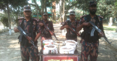 বিজিবির অভিযানে প্রায় তিন লক্ষ টাকার ভারতীয় মালামাল জব্দ