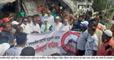 সাতক্ষীরায় ডেঙ্গু ও মশাবাহিত রোগের প্রাদুর্ভাব রোধে ডিসির নেতৃত্বে অভিযান