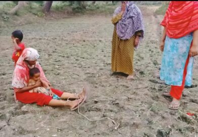 কলারোয়ায় বাক প্রতিবন্ধী নারীর বিয়ে ও দুই সন্তানের পিতৃত্ব নিয়ে তুমুল বিতর্ক