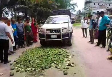 পাটকেলঘাটায় অপরিপক্ব আম ধ্বংস, ভ্রাম্যমাণ অভিযানে কড়াকড়ি