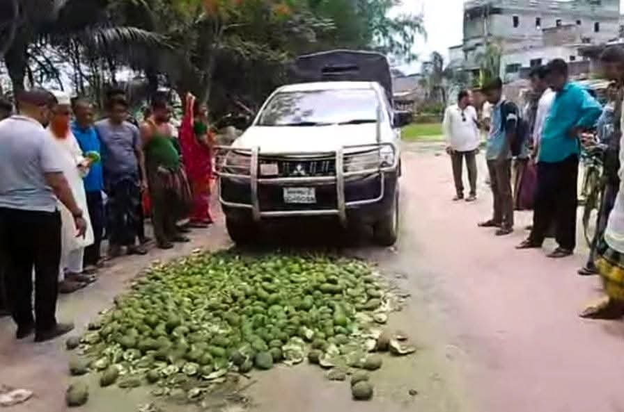 পাটকেলঘাটায় অপরিপক্ব আম ধ্বংস, ভ্রাম্যমাণ অভিযানে কড়াকড়ি