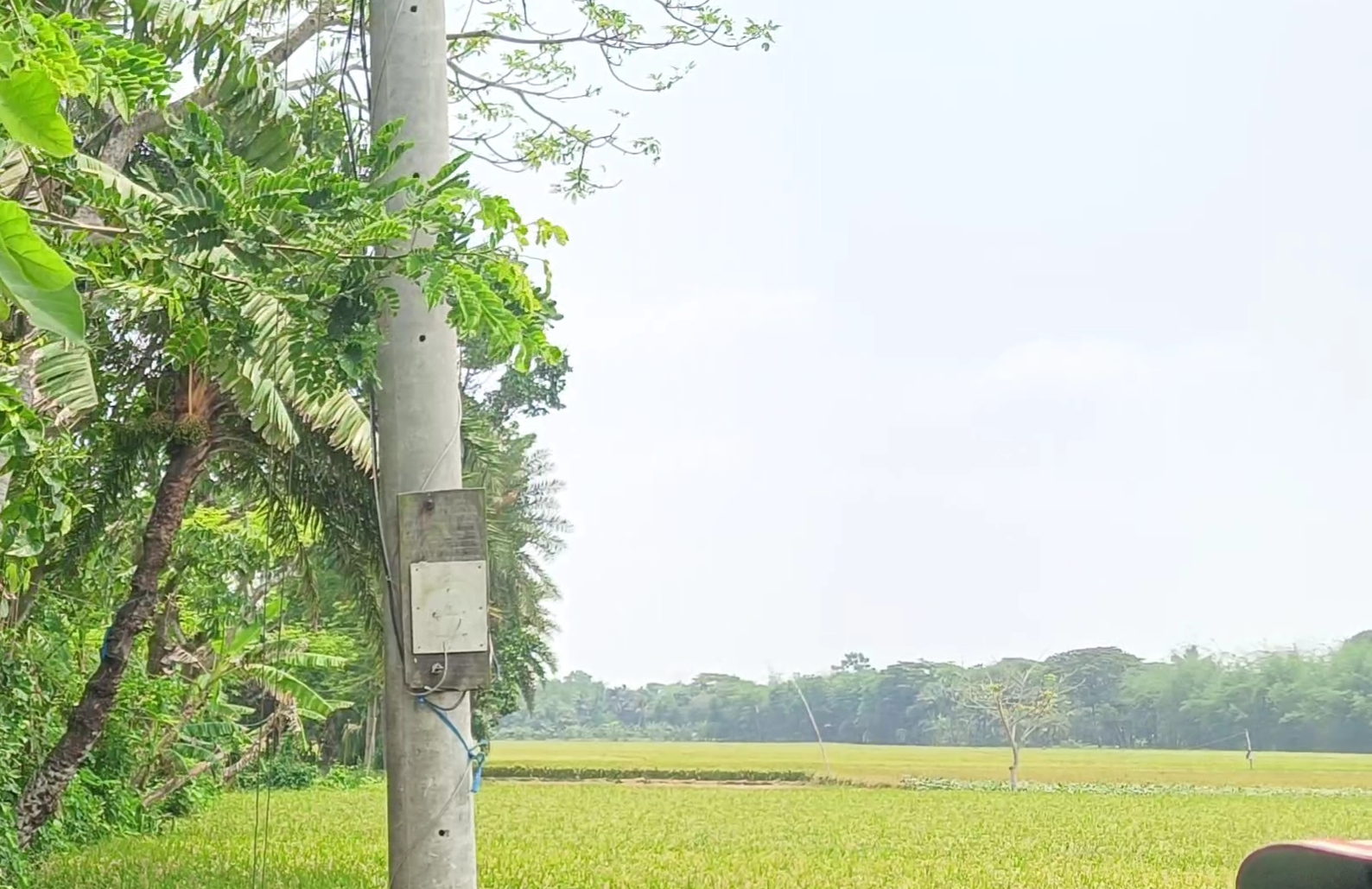 কালিগঞ্জে হুক লাগিয়ে অবৈধ বিদ্যুৎ সংযোগ, মিটার ও মটর জব্দ