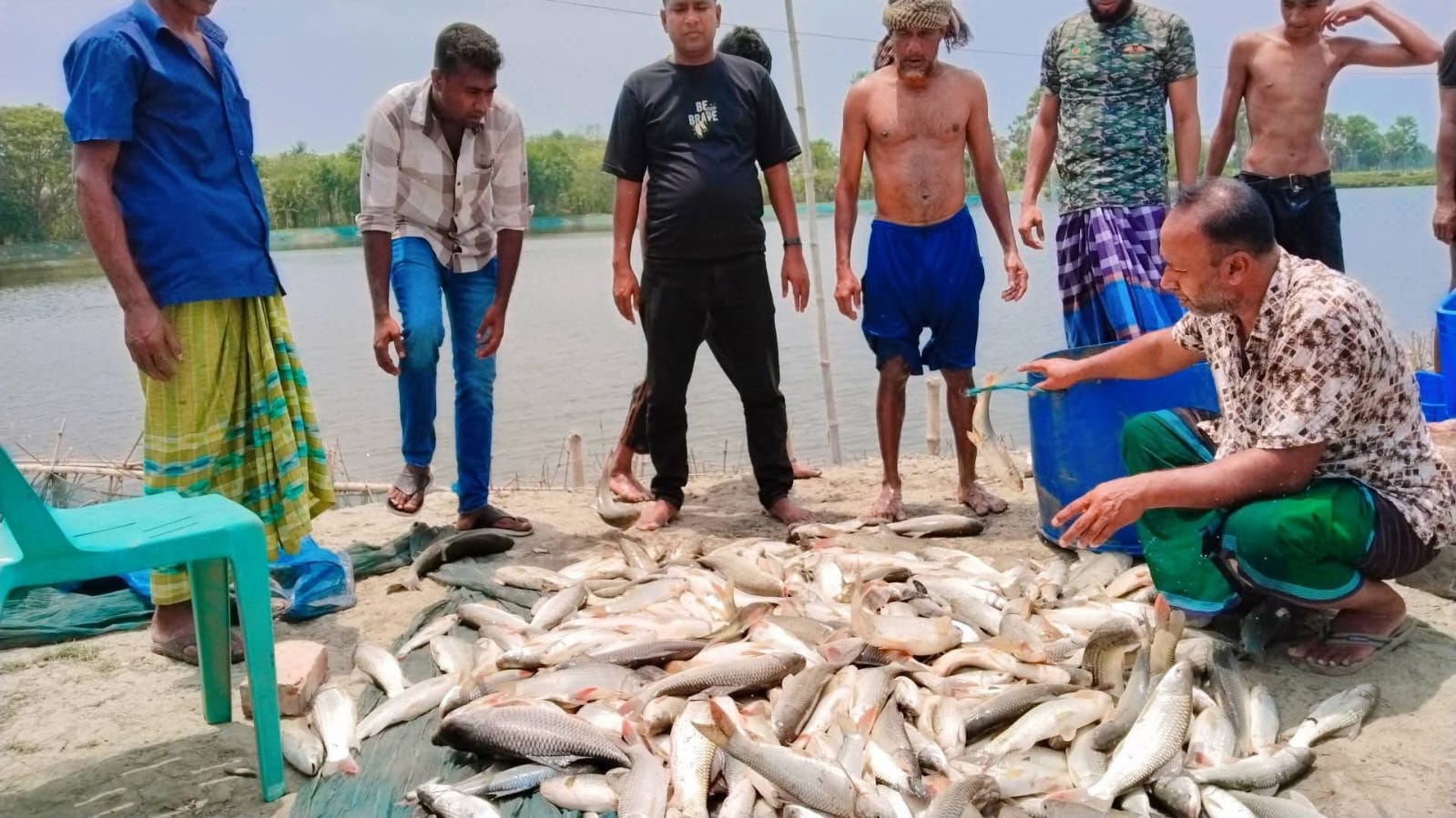 কালিগঞ্জে পূর্বশত্রুতার জেরে গভীর রাতে মৎস্য ঘেরে বিষ প্রয়োগ: এলাকায় চাঞ্চল্য