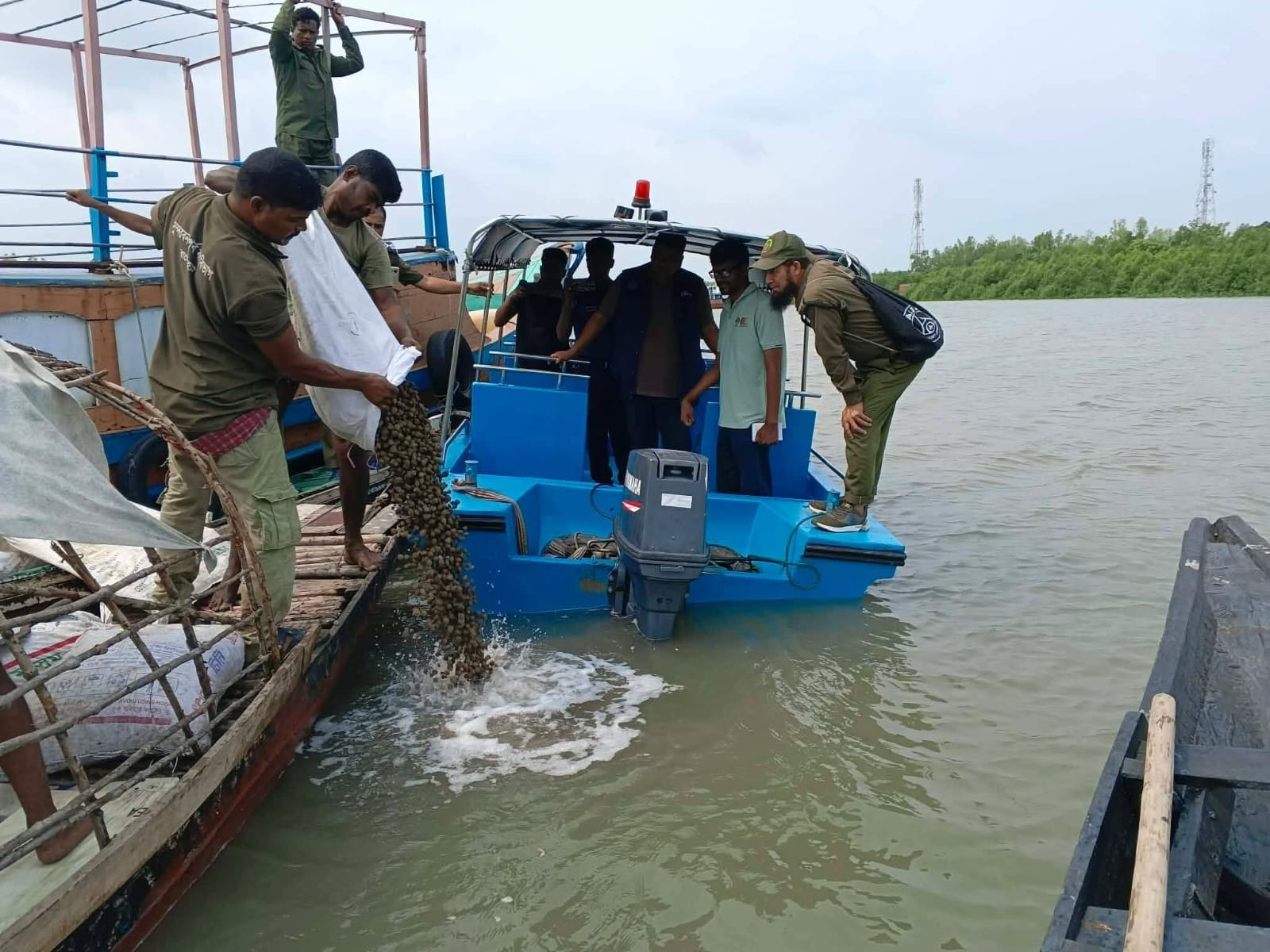 শ্যামনগরে ৫০ বস্তা শামুক জব্দ, নদীতে অবমুক্ত