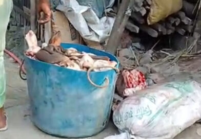 কালিগঞ্জে তথ্য গোপনের অপরাধে প্যানেল চেয়ারম্যানকে ৩০ হাজার টাকা জরিমানা