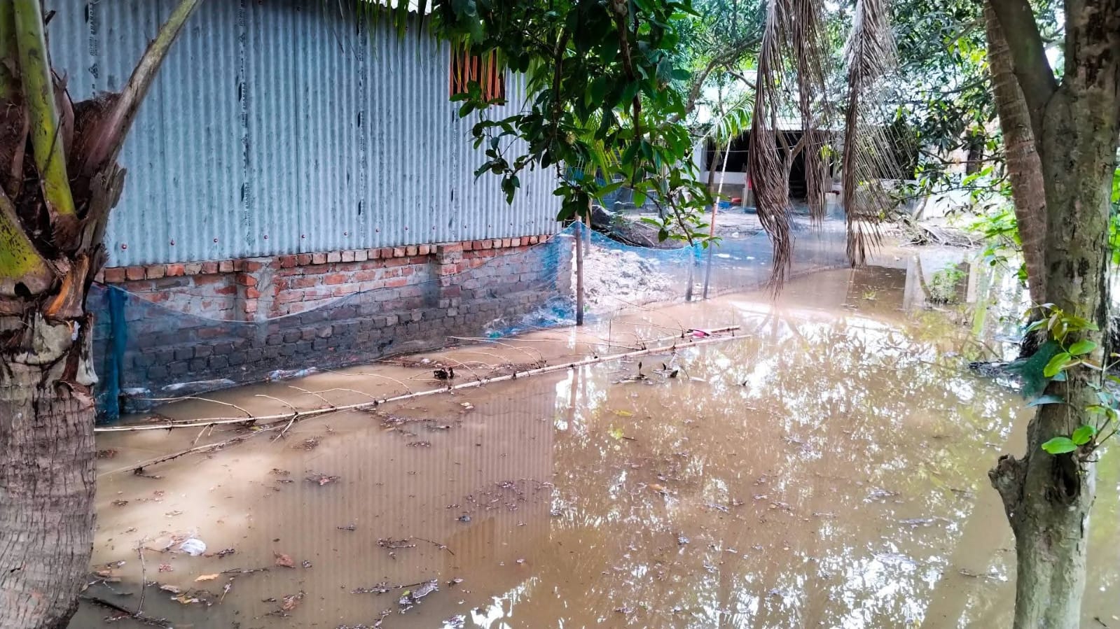 কালিগঞ্জে সাংবাদিক ফজলুল হকের বাড়িতে জলাবদ্ধতা: পানি নিষ্কাশনের পথ বন্ধের অভিযোগ