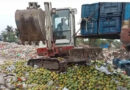 সাতক্ষীরায় কেমিক্যাল মিশ্রিত ৯ হাজার কেজি আম জব্দ