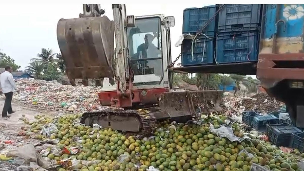 সাতক্ষীরায় কেমিক্যাল মিশ্রিত ৯ হাজার কেজি আম জব্দ