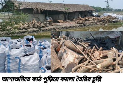 আশাশুনিতে অবৈধ কয়লা চুল্লি, স্বাস্থ্য ও পরিবেশ ঝুঁকিতে