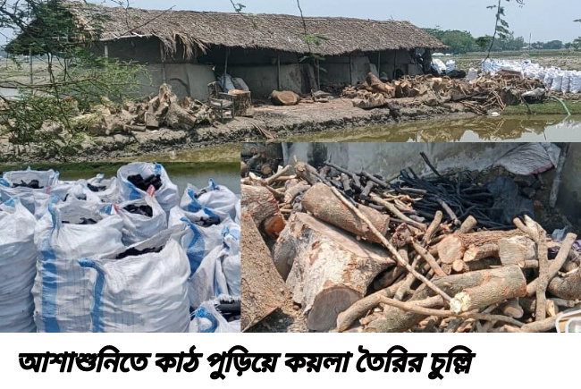 আশাশুনিতে অবৈধ কয়লা চুল্লি, স্বাস্থ্য ও পরিবেশ ঝুঁকিতে