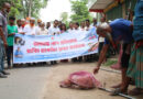 সাতক্ষীরায় ডেঙ্গু প্রতিরোধে পরিচ্ছন্নতা অভিযান, র‍্যাবিস ভ্যাকসিন প্রদান কর্মসূচি