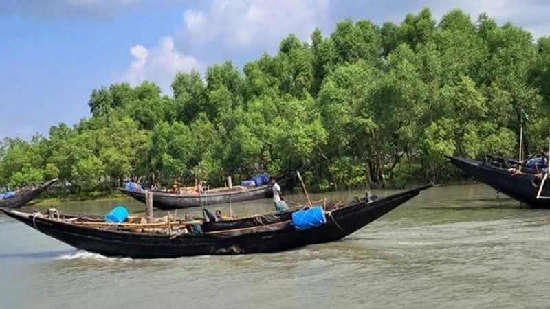 দু’দিনে সুন্দরবন থেকে সাতক্ষীরার ২২ জেলে অপহরণ