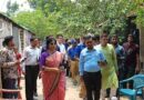 জেলা প্রশাসক মিজ কাউসার আজিজের কলারোয়ায় দিনব্যাপী যত কার্যক্রম
