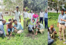 সবুজ ক্যাম্পা্স গড়তে সাতক্ষীরা সদর হাসপাতাল চত্বরে ২৮২টি গাছের চারা রোপণ