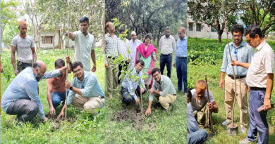 সবুজ ক্যাম্পা্স গড়তে সাতক্ষীরা সদর হাসপাতাল চত্বরে ২৮২টি গাছের চারা রোপণ