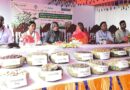 উপকূলীয় পরিবেশ পুনরুদ্ধারে শ্য্যমনগরে ১০ লক্ষ বীজ রোপণের উদ্বোধন