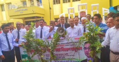 সাতক্ষীরায় জাতীয়তাবাদী আইনজীবী ফোরামের চারা বিতরণ কর্মসূচি