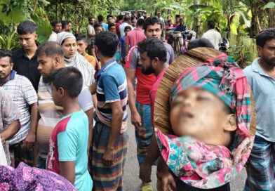 কালিগঞ্জে ট্রাকচাপায় ৪ বছরের শিশুর মর্মান্তিক মৃত্যু, চালক আটক