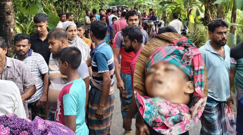 কালিগঞ্জে ট্রাকচাপায় ৪ বছরের শিশুর মর্মান্তিক মৃত্যু, চালক আটক
